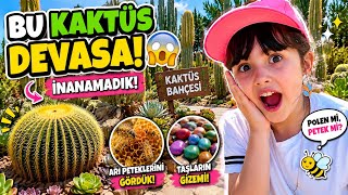 İkra ile Dev Kaktüs Bahçesini Keşfettik! Gördüklerimize İnanamadık (Yılan Çıkacak Sandık 🐍) #vlog 
