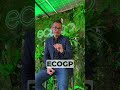 ECOGP #1