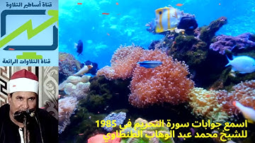 إسمع جوابات الطنطاوي في سورة التحريم 1985 حاجه عالية جدا