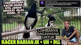 1 HAL INI SANGAT JELAS UNTUK KACER ⁉️ CARA MERAWAT KACER HARIAN DAN LOMBA