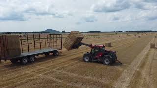 Weidemann au ramassage