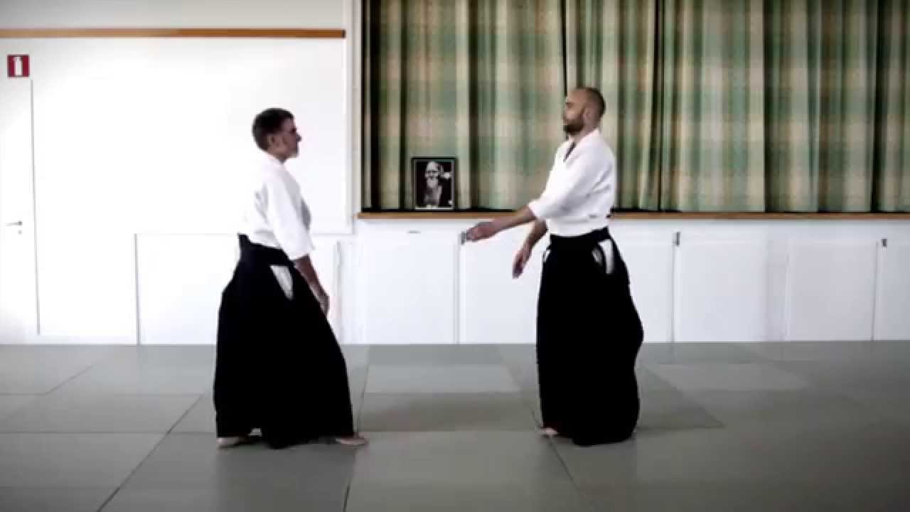 Aikido - Alvaro Campo and Marius Warholm Haugen - Jiyu Wasa