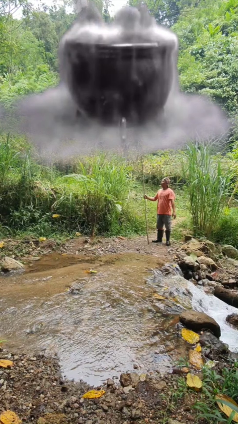 Magic in the forest #entertainment #magic