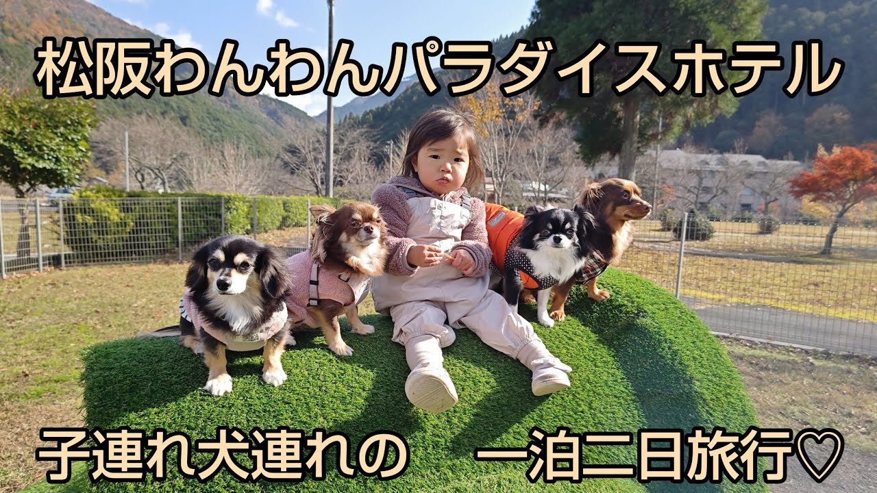 愛犬モナ(と)ニコ.愛娘ゆず.お友達チャコ(と)みる 三重県松阪わんわんパラダイスホテルに一泊二日旅行♡