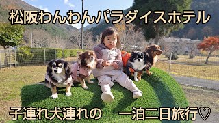 愛犬モナ(と)ニコ.愛娘ゆず.お友達チャコ(と)みる 三重県松阪わんわんパラダイスホテルに一泊二日旅行♡