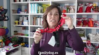 Senseible and Senseation antipull dog harnesses