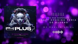 MIX SOFT OPENING FERIA DE AZUERO PH PUB HERRERANO - DJ RAULIN ARIEL @djraulinariel #mixtape screenshot 3