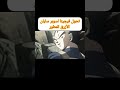 تحول فيجيتا لسوبر سايان الأزرق المطور Shorts Dblegends Dbd Dbz Dbs Dragon 