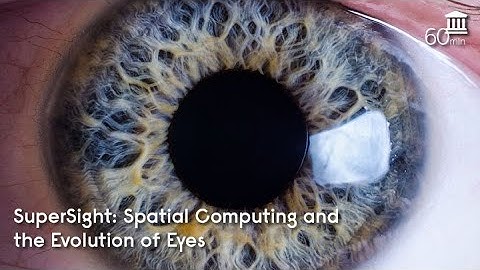 Supersight: Spatial computing and the evolutioin of eyes - David Rose