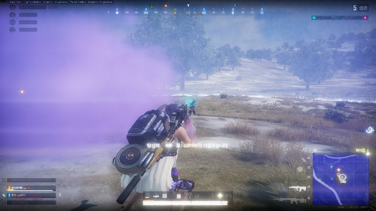 여성유저 총기 반동[DANG] PUBG Montage