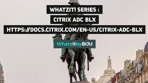Whatzit!-Citrix ADC BLX