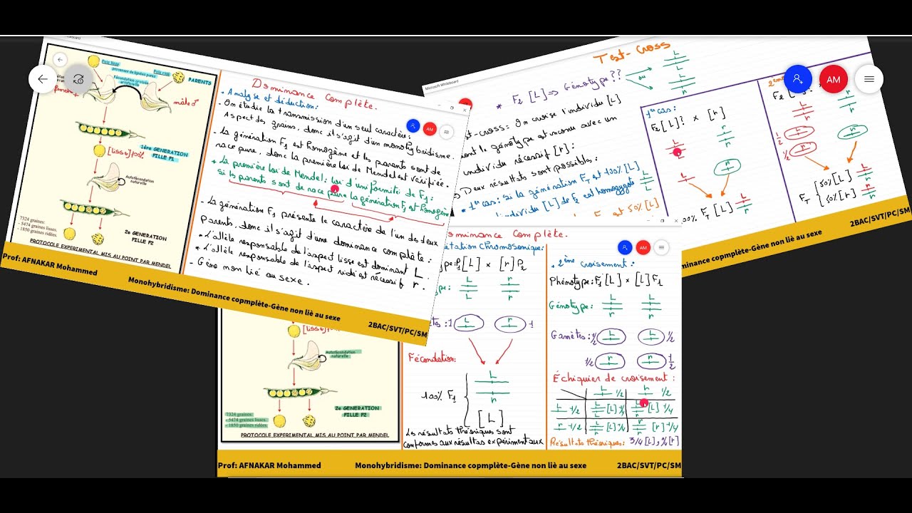 5-Génétique mendélienne: Monohybridisme: Dominance complète + Test cross 2BAC SVT/PC/SM