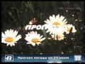 Прогноз погоды СССР 23 июля 1989