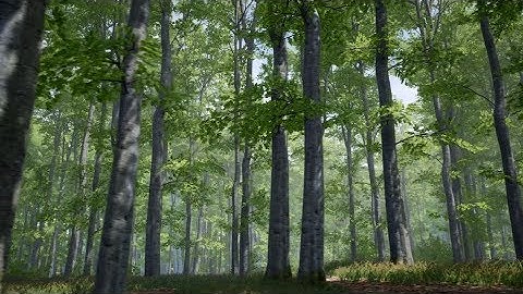 Unreal Engine forest street trees