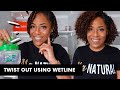 TWIST OUT USING WETLINE ON 3C/4A NATURAL HAIR (NEXT DAY RESULTS)|LIA LAVON