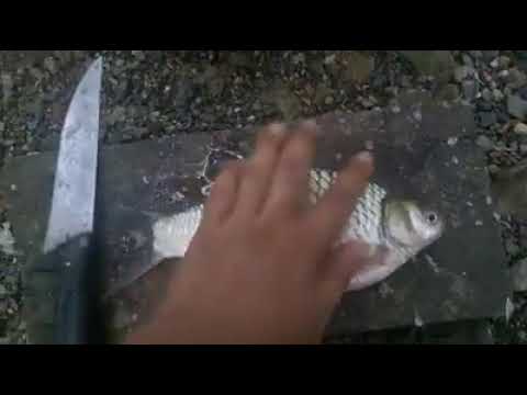 Resepi Ikan Pekasam Kedah Sedap - YouTube