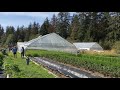 Farragut Farm: Growing Vegetables in Southeast Alaska