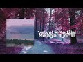 Velvet - Medžiai Melagiai [ lyrics ]