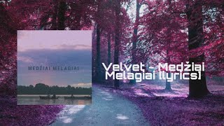 Video-Miniaturansicht von „Velvet - Medžiai Melagiai [ lyrics ]“