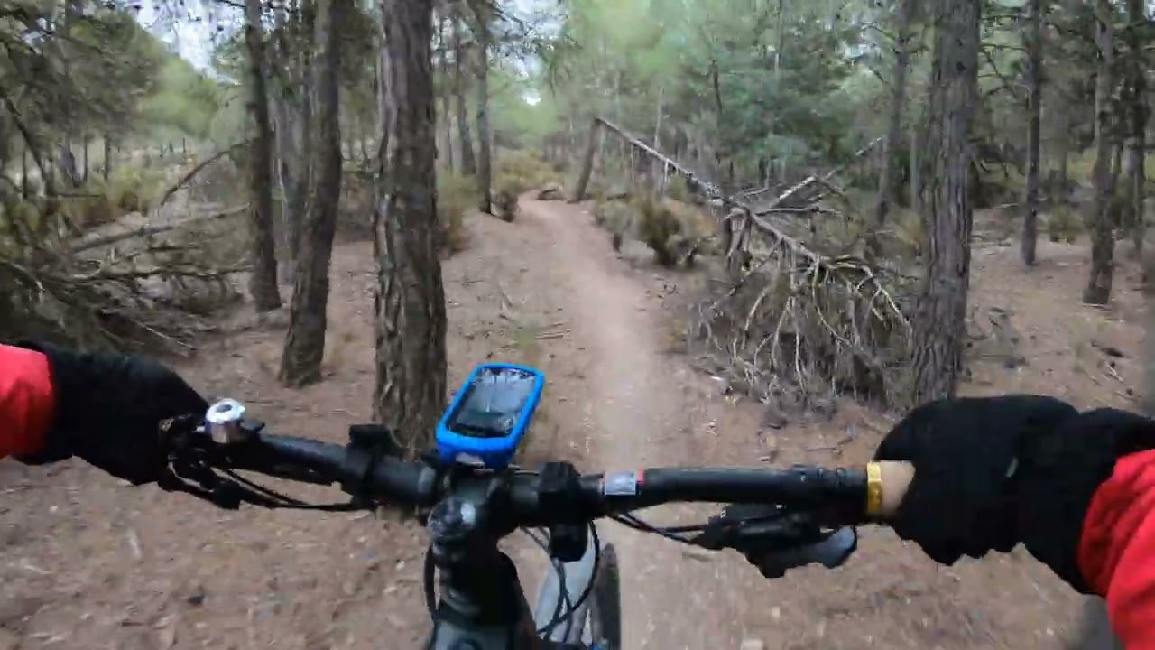 50KM FEBRERO 2023 SENDAS DE LA ENCINA, CAUDETE Y ALMANSA