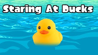 Splatfest Is Over, Let's Watch Rubber Ducks Some More