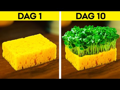 SLIMME HACKS OM JE EIGEN PLANTEN TE KWEKEN || Tuinhacks voor beginners