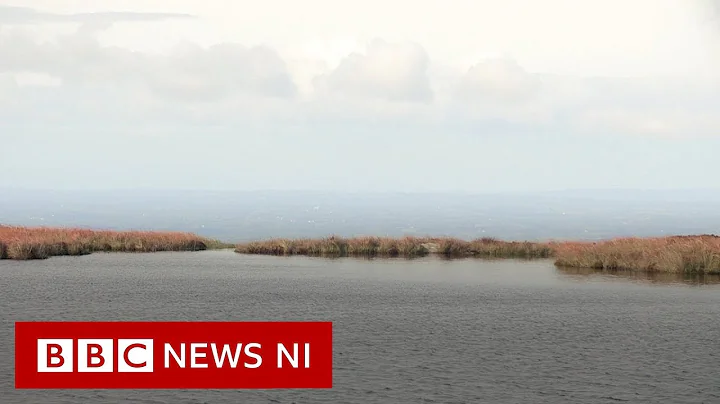 Slieve Gullion: Healing the mountain's scars