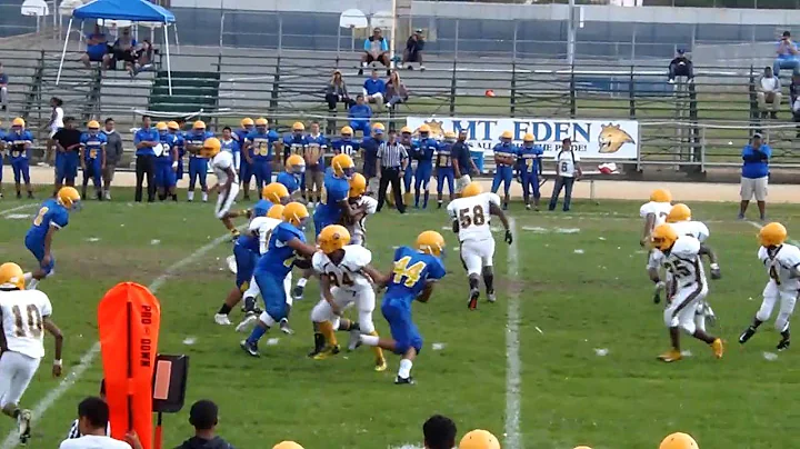 #33 Lesley G. McFarland first run from scrimmage v...