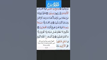 سورة يس الآية 52-53 الشيخ فارس عباد