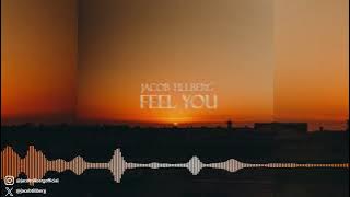 Download lagu Jacob Tillberg - Feel You