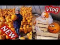 ВЛОГ: 🎃 Хэллоуин во ФРАНЦИИ 🎃 Тыквенная ферма. Тематический Декор 🎃