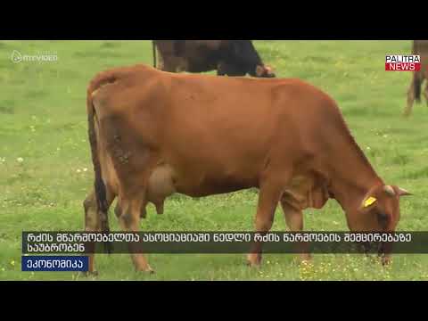 რძის მწარმოებელთა ასოციაციაში ნედრი რძის წარმოების შემცირებაზე საუბრობენ