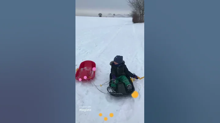 snow 2021