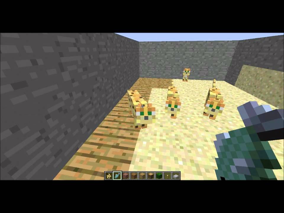 how to tame and breed ocelots in minecraft YouTube