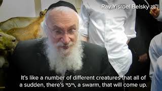 Techeiles Chilazon Identity - Appearing Once Every 70 Years - Rabbi Yisroel Belsky Ztl