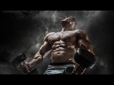 Ab Banegi Meri Body Latest New Gym Workout Whatsapp Ab Banegi Meri Body Latest New Gym Workout Whatsapp