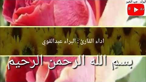 مقطع من سورة الرحمن بتلاوة وصوت هادئة وخاشعة للقارئ البراء عبدالقوي