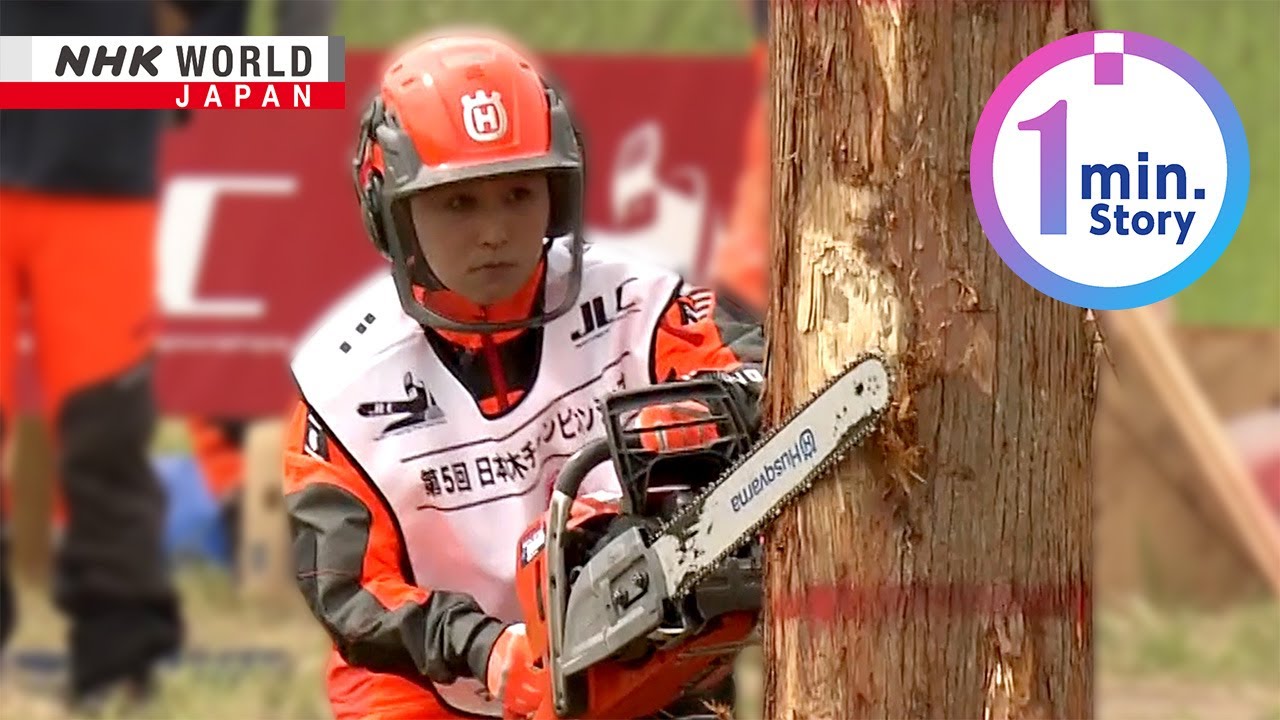 Japanese logger hones cutting-edge skillsーNHK WORLD-JAPAN NEWS