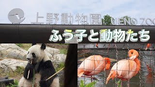 【雨の日も悪くない】上野動物園で動物たちに癒されてきた