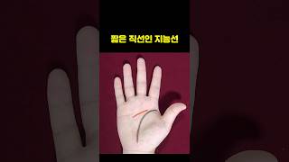 결단력있고 시원시원한 성격이지만 실수가 많은 손금 #손금 #지능선 #성격테스트