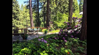The Passionate Gardener Series 4