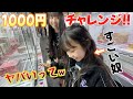 1000円で何個取れる 久しぶりのクレーンゲームにすごい事が起こりました 1000円で何個取れる 久しぶりのクレーンゲームにすごい事が起こりました