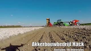 Посадка и окучивание картошки в Нидерландах