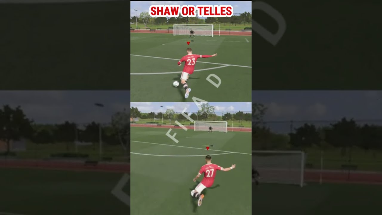 SHAW OR TELLES FOR LWB MANCHESTER UNITED 
