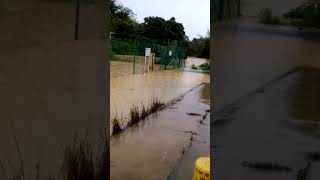 Saat Saat Menegangkan, Hidup Di Rantau Di Segamat