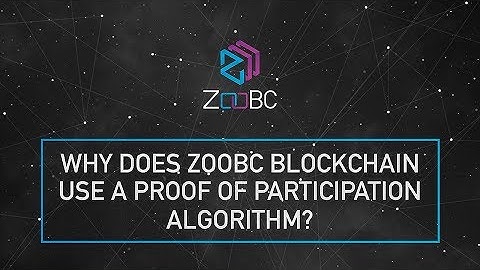 Why does ZooBC blockchain use a Proof of Participation algorithm?