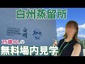 【白州蒸留所】無料場内見学のみで白州蒸留所はどれくらい楽しめるのか?【有料試飲・限定ウイスキー】