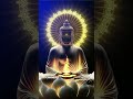 Buddham Sharanam Gacchami Lord Buddha Status Buddha Meditation Video Shorts