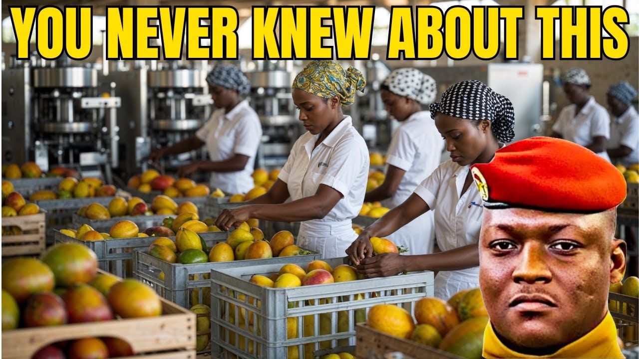 Burkina Faso’s Government-Built Mango Juice Factory & Mineral Plant in Ouagadougou | You don't know
