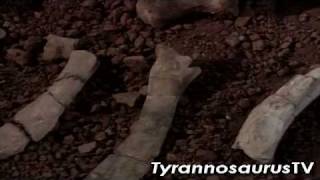 Beyond T. REX (2 of 5)